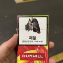 던힐 | 사과맛 담배 던힐 레인보우 부스트 후기