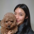 세온동물병원 이미지