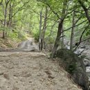 석골사화장실 이미지