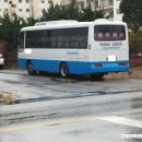신일여행사 이미지