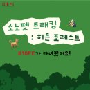 히든포레스트 | 🌳소노펫 트래킹 : 히든 포레스트🌳생생한 후기!