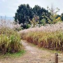 억새풀농장 이미지