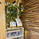 pit a pet (핏어펫) 이미지