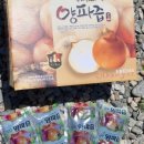 능소헌