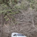 국립희리산해송자연휴양림 | 바람 심한 날 서천 희리산해송자연휴양림 411사이트 캠핑 후기