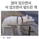 그린쥬스