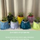 미미국밥 네이버블로그