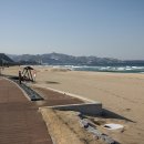 망상오토캠핑리조트 이미지