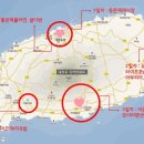 대윤 2농장 네이버블로그