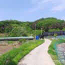 상주 금흔리 이부곡토성 이미지