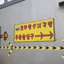 대전순대 | [대전] 임영웅 맛집 오문창 순대 국밥집 후기…