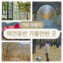 자라목펜션 | [가평 가볼만한 곳] 겨울 애견동반 여행지 추천 : 색현터널 가평레일파크 남이섬 (애견동반식당, 위치)