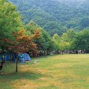 방화동가족휴가촌 자동차야영장 이미지