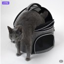 대한켄넬 | 리스펫 고양이 숨숨 돔형 이동장 이동가방 켄넬 추천｜예민한 아이 병원 갈 때