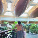 이글하이소프트 이미지