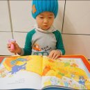 배꼽누리 이미지