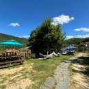 해피독 애견펜션2 이미지