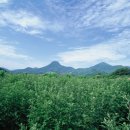 늘푸른동산한의원 이미지