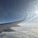 삼정카토탈서비스 | 라이너, 게이세이, 야키토리 오마카세(긴자 야키토리 카토), 호텔 몬토레 긴자 후기, 로밍도깨비 esim 후기