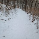 약진로변 이미지