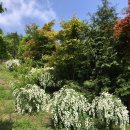 반송동169 이미지