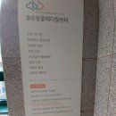 필유동물병원 네이버블로그