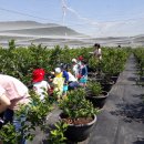 보미나어린이집 이미지