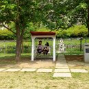 아트밸리 피크닉 콘서트 이미지