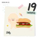 임신 18주~26주 기록｜입체초음파, 임당검사, 태동, 베이비페어, 산후도우미 예약