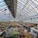 부영다육농장 이미지