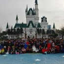 용호태권도 이미지