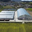 팔금농장 이미지