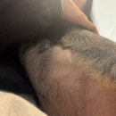 시지W동물의료센터 이미지