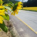 강천식당 이미지