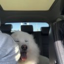 아이앤지동물병원 이미지