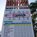 창원시티투어 | 창원 뚜벅이 여행 창원시티투어버스 후기 제황산공원 진해 경화역