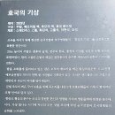 애국지사 구국충정 | 건지 유아숲체험원 2025.08.14