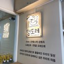 멍도레 | 중랑구애견카페 : 멍도레 추천