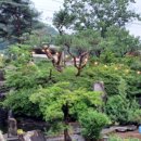 홍산관광농원 캠핑장 이미지