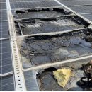 대원태양광발전소 이미지