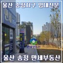 만세부동산공인중개사사무소 이미지