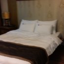 로긴리조트 이미지