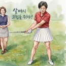 해라웨이