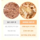 행복한 냥이네 | 펫토리아 한캔뚝딱 프리미엄 고양이캔 ; 기호성 좋은 고양이습식캔