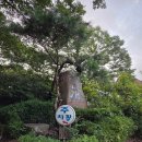 굿만두 | 경기도 하남 은고개 맛집 만두집가서 만두전골 2인분 먹고온 후기 가성비 굿!!메뉴, 주차가능