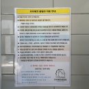 모모애견 이미지