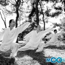 국선도 Daum카페