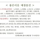 오늘약국 이미지