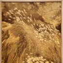 자연의 소리 Ⅱ 이미지