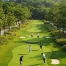 화정파크골프장 이미지